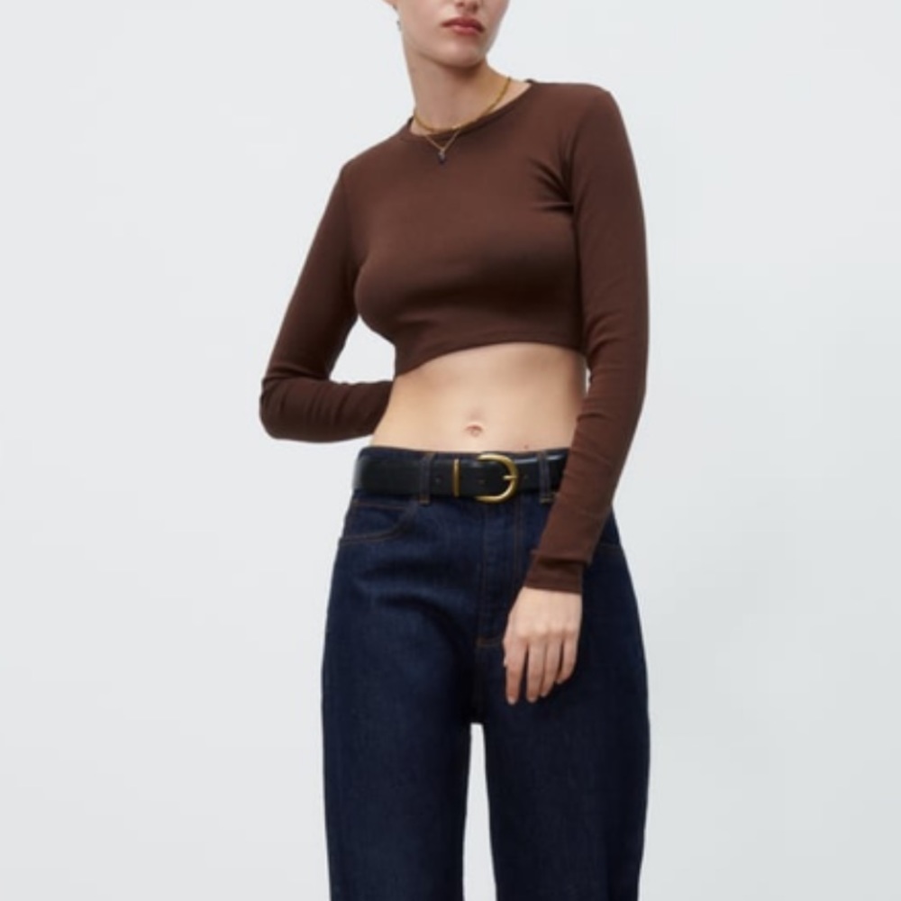 ZARA Brown Crop Top